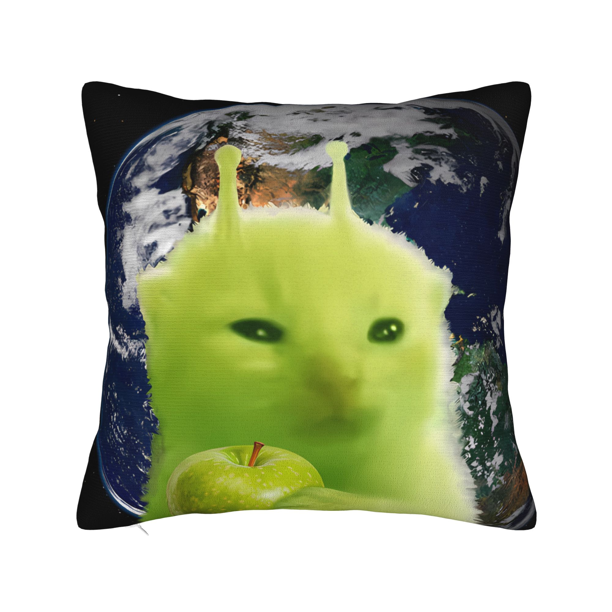 Green Alien Cat Meme Pillow Co - Home Office Design Ideas recension och pris